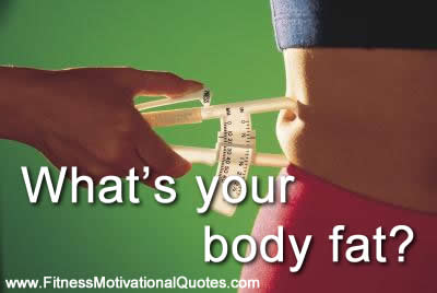 test your body fat