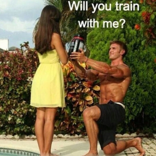 Fitness Proposal